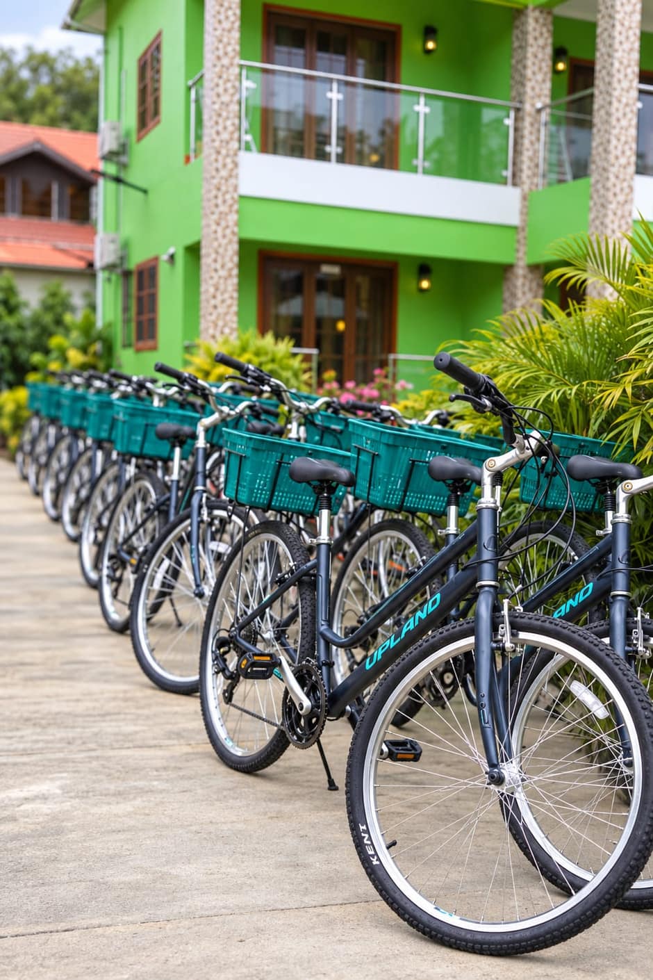A row of Tropical Riders hire bicycles lined up outside the green facade of Benjamin Guest House on La Digue